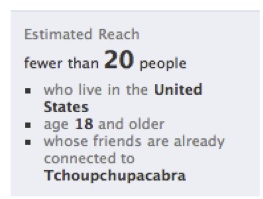 Facebook Privacy - Fan Page Ad Reach