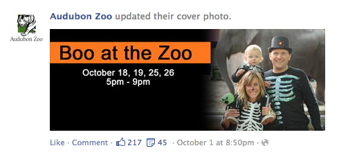 Facebook Cover Photo News Feed