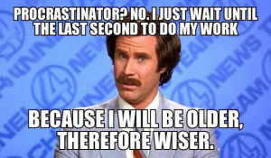 procrastination meme