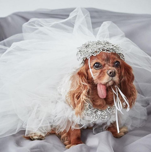 Toast Meets World Screenshot